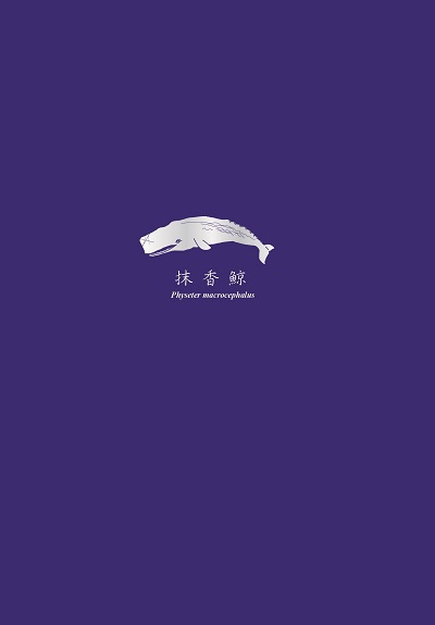 抹香鯨 Physeter macrocephalus 出版公司:小鯨生活文創 作者:蔡政修 類型:休閒生活-手工藝 PDF電子書 繁體中文版