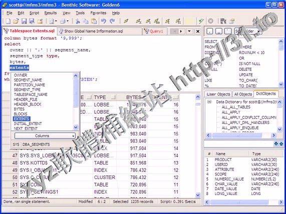 Benthic Software Golden v6.2.664 x64 英文正式版(數據庫管理軟體)