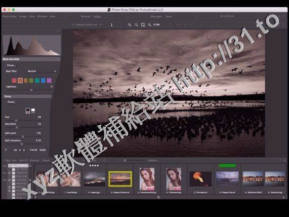 PictureCode Photo Ninja v1.3.4b for Windows 英文正式版(照片專業級的RAW轉換軟體)
