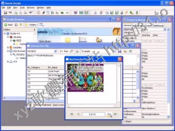 TigerLogic Omnis Studio Pro v5.2.0 Development for Windows 英文正式版(快速應用開發 RAD 工具軟體)