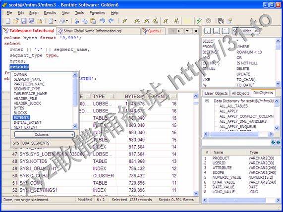 Benthic Software Golden v6.2.656 x64 英文正式版(數據庫管理軟體)