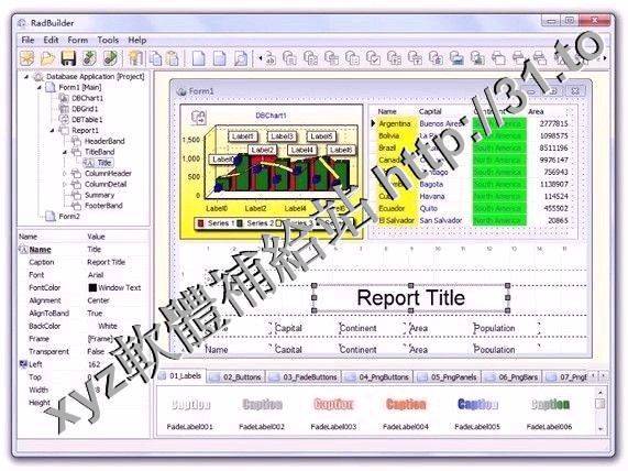 Longtion Software RadBuilder v3.6.0.388 Site Edition 英文正式版(快速應用程序開軟體)