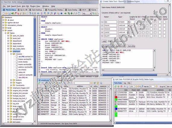 Richardson Software RazorSQL v8.0.1 x86 英文正式版(源代碼編輯器和文本編輯器軟體)