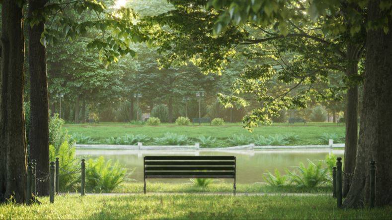 Evermotion Archmodels 3D模型合集 Max-Vray 模型庫 Vol.163 植物樹木 (DVD版)