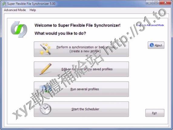 Super Flexible File Synchronizer Pro v5.69 英文正式版(同步和備份工具軟體)