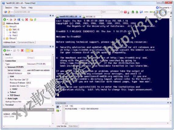 Choung Networks Token2Shell v6.6.2 英文正式版(持SSH連接廣泛的運算法則和連接方式軟體)
