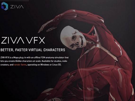 Ziva Dynamics Ziva VFX v1.0 Hotfix 2 for Maya 2015 英文正式版(Maya醫學人體肌肉骨骼模擬插件軟體)