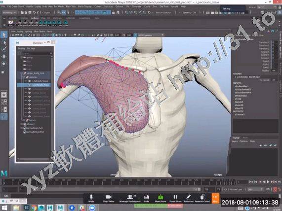 Ziva Dynamics Ziva VFX v1.4 for Maya 2016 英文正式版(Maya醫學人體肌肉骨骼模擬插件軟體)