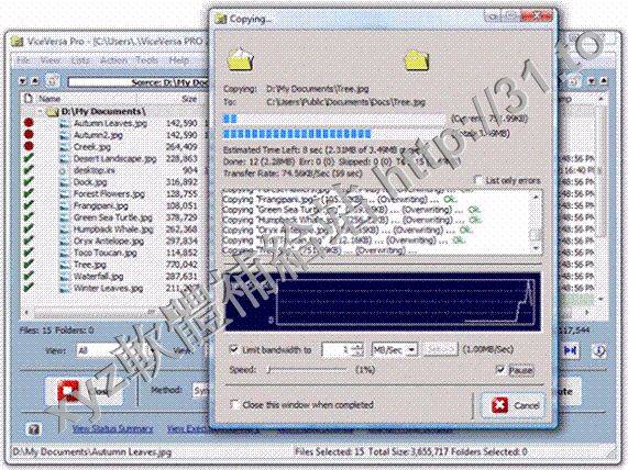 TGRMN Software ViceVersa Pro v2.5.2515.X64 英文正式版(文件備份、複制、比對軟體)