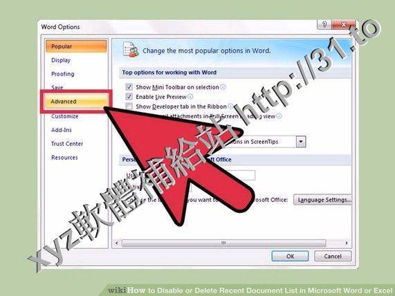 MS Word Recent File List Software v7.0 英文正式版(最近的文件列表軟體)