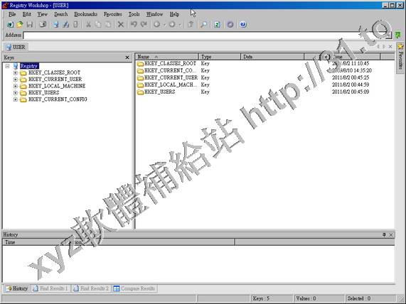 Torchsoft Registry Workshop v4.6.0 英文正式版(註冊表編輯工具軟體)