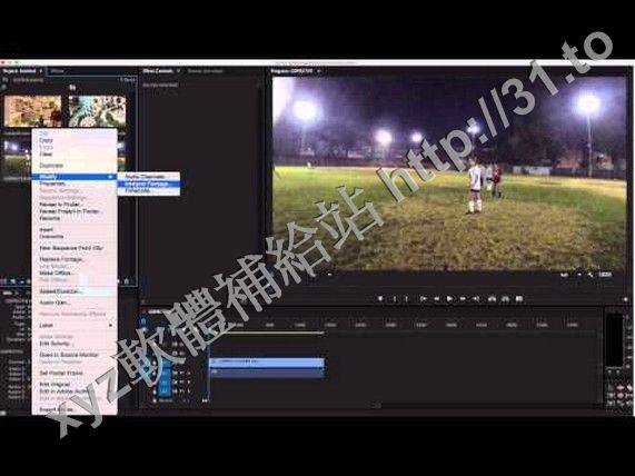 RevisionFX ReelSmart Motion Blur for OFX v5.2.4 英文正式版(AE延時高速攝影視頻去閃爍軟體)