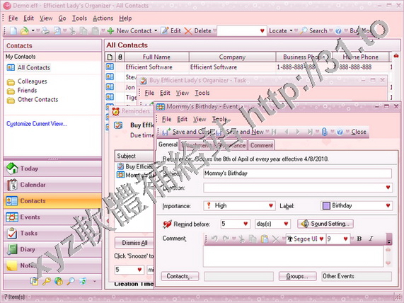 Efficient Software Efficient Ladys Organizer v3.60.352 英文正式版(個人資訊管理系統軟體)