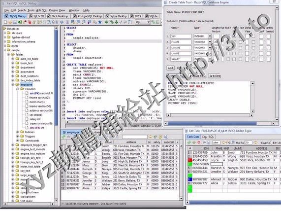 Richardson Software RazorSQL v6.3.17 x86 英文正式版(SQL查詢軟體)