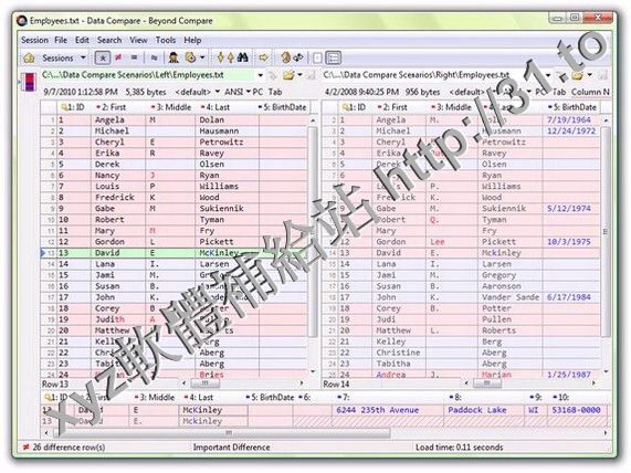 Scooter Software Beyond Compare Pro v4.0.3.19420 英文正式版(文件和文件夾比較軟體)