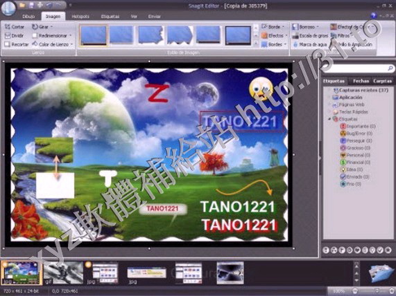 TechSmith Snagit v11.3.0 英文正式版(捕捉螢幕軟體)