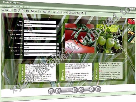 Oriasoft Mes Bases de Donnees Multimedia v1.6.1 FRENCH 法語正式版(多媒体軟體)